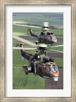 Framed Pair of Bulgarian Air Force Eurocopter AS532 AL Cougar helicopters