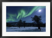 Framed Aurora Borealis, Forramarka, Troms, Norway