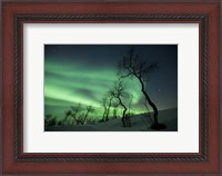 Framed Northern Lights in the arctic wilderness, Nordland, Norway