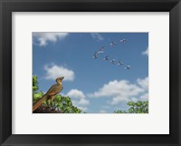 Framed Archaeopteryx observing a flock of migrating pterosaurs