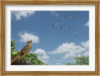 Framed Archaeopteryx observing a flock of migrating pterosaurs