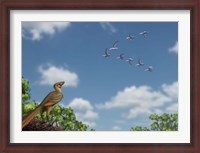 Framed Archaeopteryx observing a flock of migrating pterosaurs