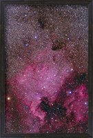 Framed NGC 7000 and the Pelican Nebula