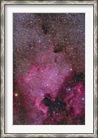 Framed NGC 7000 and the Pelican Nebula
