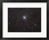 Framed Iris Nebula