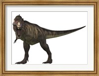 Framed Tyranosaurus Rex