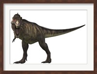 Framed Tyranosaurus Rex