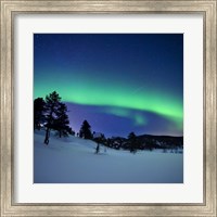 Framed Aurora Borealis and a shooting star in the woods of Troms County, Norway