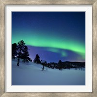 Framed Aurora Borealis and a shooting star in the woods of Troms County, Norway