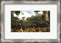 Framed group of Ankylosaurid dinosaurs from the early Cretaceous