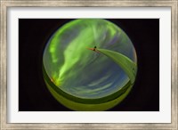 Framed aurora display taken from Wintering Hills Wind Farm, Alberta, Canada