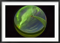 Framed aurora display taken from Wintering Hills Wind Farm, Alberta, Canada