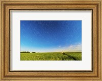 Framed Circumpolar star trails over a canola field in southern Alberta, Canada