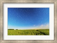 Framed Circumpolar star trails over a canola field in southern Alberta, Canada