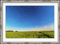 Framed Circumpolar star trails over a canola field in southern Alberta, Canada