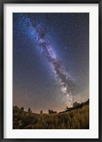 Framed summer Milky Way on a clear moonless evening in Alberta, Canada