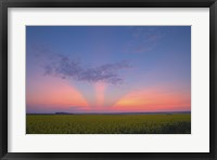 Framed Crepuscular rays at sunset, Alberta, Canada