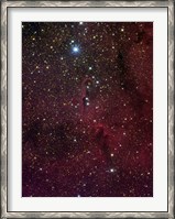 Framed Elephant's trunk nebula inside IC 1396