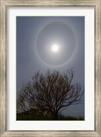 Framed 22 degrees halo around the 2013 supermoon