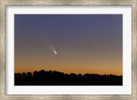 Framed Comet Panstarrs at twilight,  Buenos Aires, Argentina