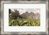 Framed Plateosaurus and Ceolophysis dinosaurs of the Triassic period