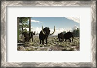 Framed Woolly Mammoths in the prehistoric northern hemisphere