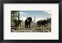 Framed Woolly Mammoths in the prehistoric northern hemisphere