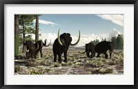 Framed Woolly Mammoths in the prehistoric northern hemisphere
