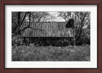 Framed Abandoned Log Home