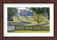 Framed Stacked Split-Rail Fences in Appomattox, Virginia
