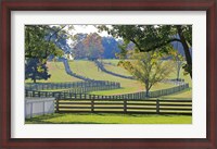 Framed Stacked Split-Rail Fences in Appomattox, Virginia
