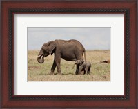 Framed African Elephant With Baby, Maasai Mara Game Reserve, Kenya