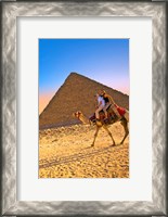 Framed Camel ride, Great Pyramids, Cairo, Giza Plateau, Egypt