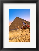 Framed Camel ride, Great Pyramids, Cairo, Giza Plateau, Egypt