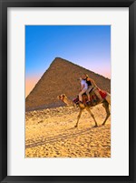 Framed Camel ride, Great Pyramids, Cairo, Giza Plateau, Egypt