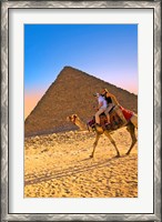 Framed Camel ride, Great Pyramids, Cairo, Giza Plateau, Egypt