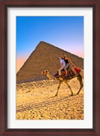 Framed Camel ride, Great Pyramids, Cairo, Giza Plateau, Egypt