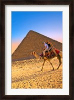 Framed Camel ride, Great Pyramids, Cairo, Giza Plateau, Egypt