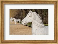 Framed Carved horse statues, Changling Sacred Was, Beijing, China