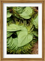 Framed Betel Leaves (Piper Betle) Used to Make Quids For Sale at Market, Myanmar