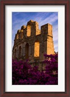 Framed Ancient Roman Amphitheater with flowers, El Jem, Tunisia