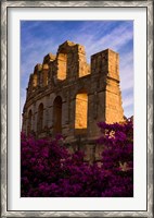 Framed Ancient Roman Amphitheater with flowers, El Jem, Tunisia