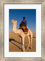 Framed Bedouin man on camel, Douz, Sahara Tunisia, Africa