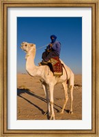 Framed Bedouin man on camel, Douz, Sahara Tunisia, Africa