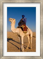 Framed Bedouin man on camel, Douz, Sahara Tunisia, Africa