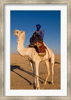 Framed Bedouin man on camel, Douz, Sahara Tunisia, Africa