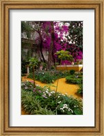 Framed Garden Courtyard, Marrakech, Morocco