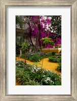 Framed Garden Courtyard, Marrakech, Morocco