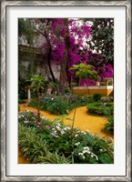 Framed Garden Courtyard, Marrakech, Morocco