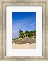 Framed Anse Bambous Beach on Fregate Island, Seychelles